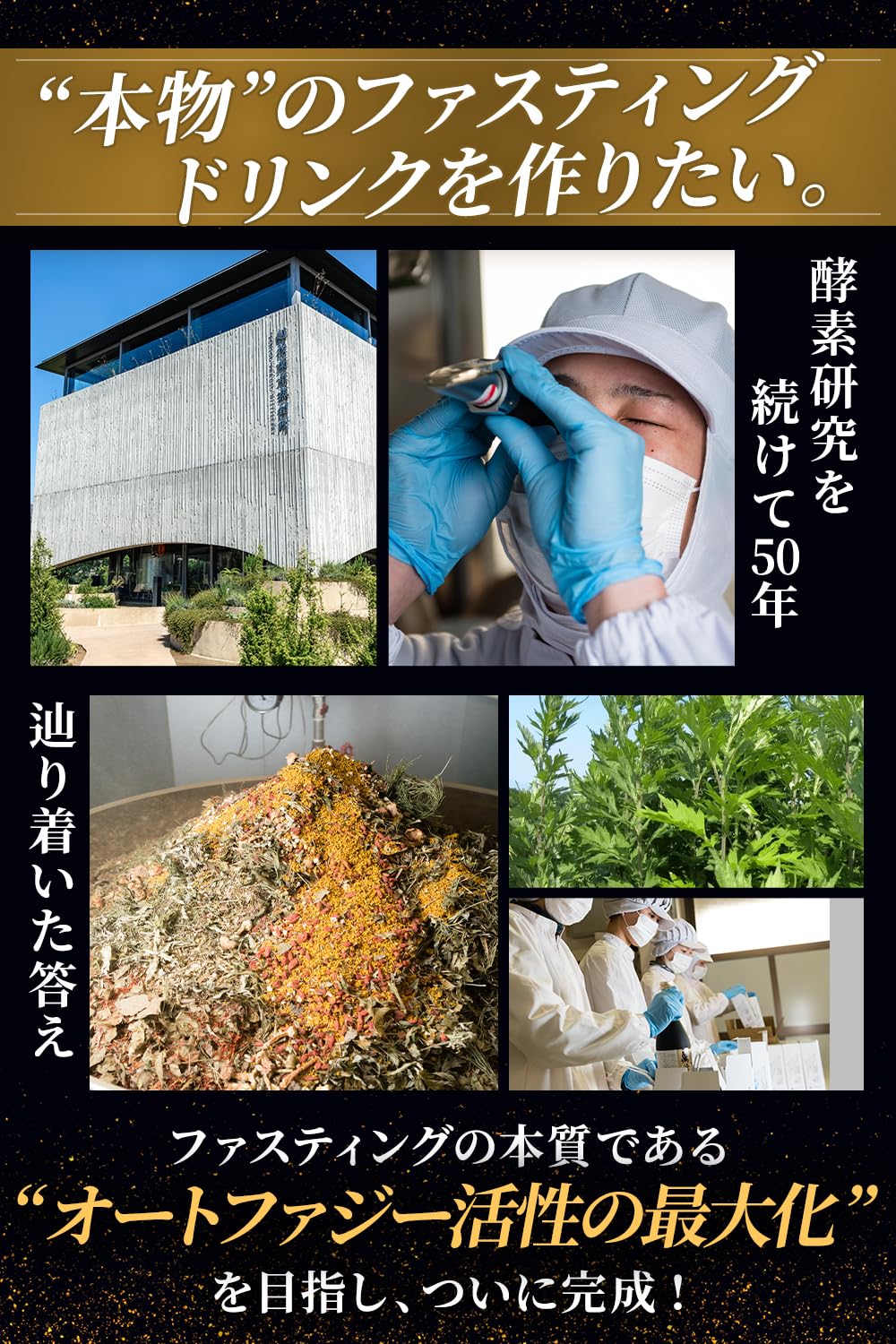 Amazon.co.jp: 越後酵素蓬緑